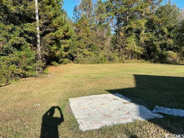 4029 Lincoln Heights Rd, Little River, SC 29566 - photo 5
