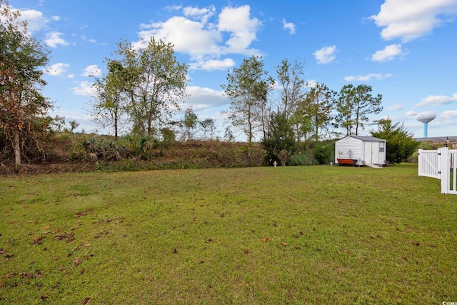 view of yard with a storage shed