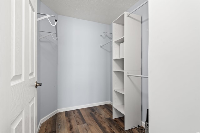 481 Irees Way, Longs, SC 29568 - walk in closet with wood finished floors