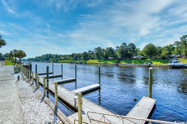 dock area with a water view