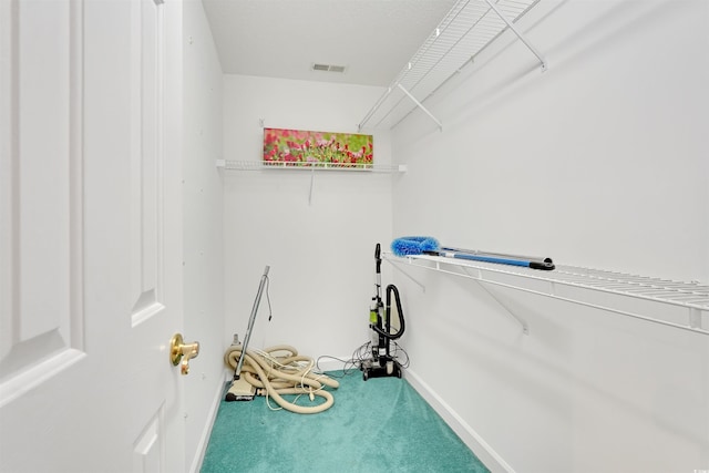 walk in closet with carpet