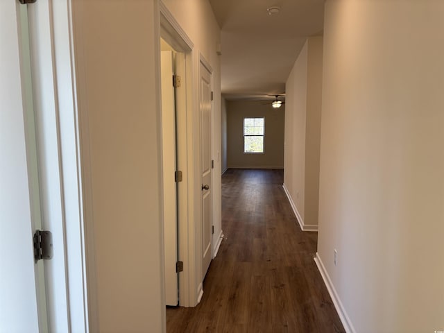 hall with dark hardwood / wood-style floors