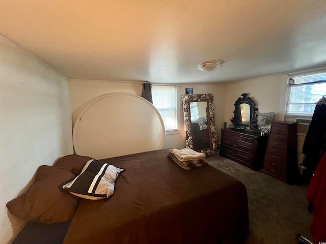 carpeted bedroom featuring multiple windows