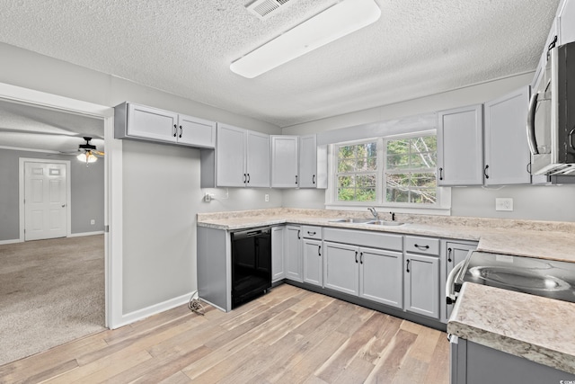 kitchen featuring a textured ceiling, ceiling fan, sink, and light hardwood / wood-style flooring