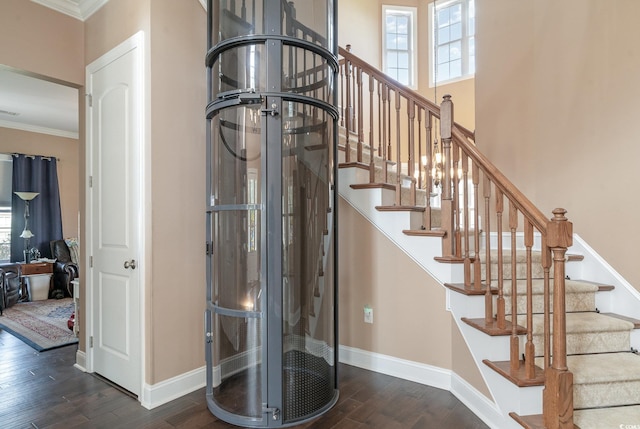 staircase featuring hardwood / wood-style floors and ornamental molding