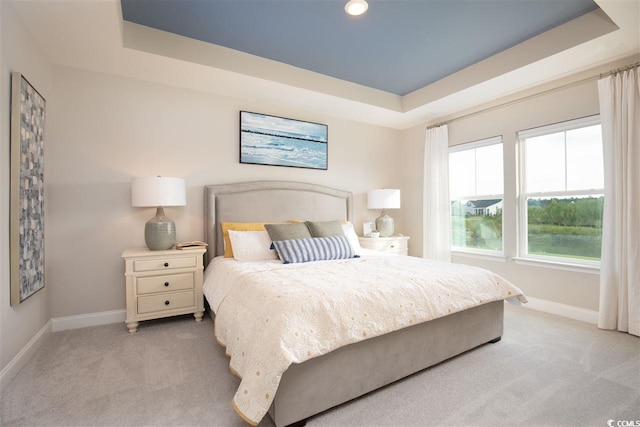 carpeted bedroom featuring a tray ceiling