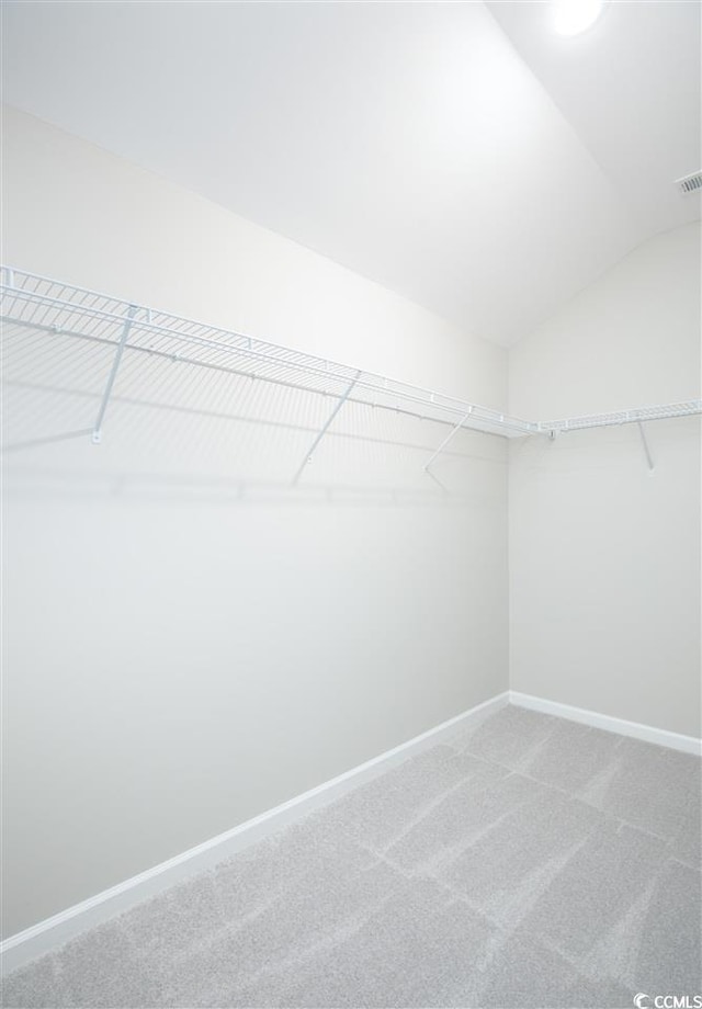 spacious closet with vaulted ceiling and carpet flooring