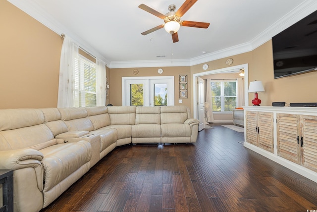 living room featuring dark hardwood / wood-style flooring, ceiling fan, and crown molding