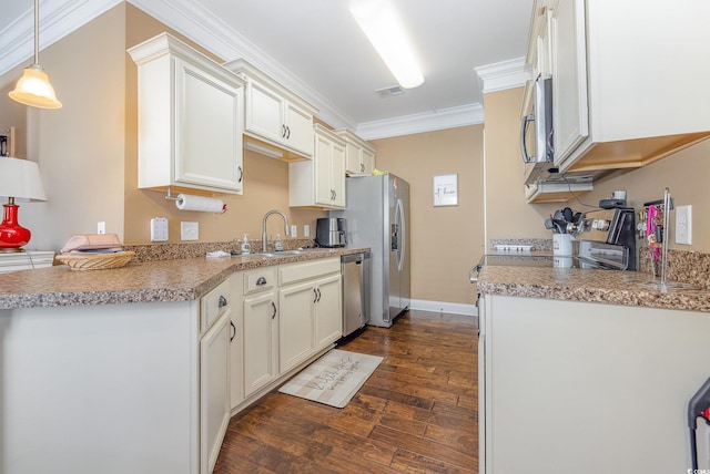 kitchen featuring ornamental molding, appliances with stainless steel finishes, dark hardwood / wood-style flooring, hanging light fixtures, and sink