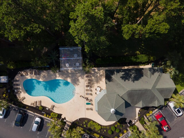 view of swimming pool with a patio area