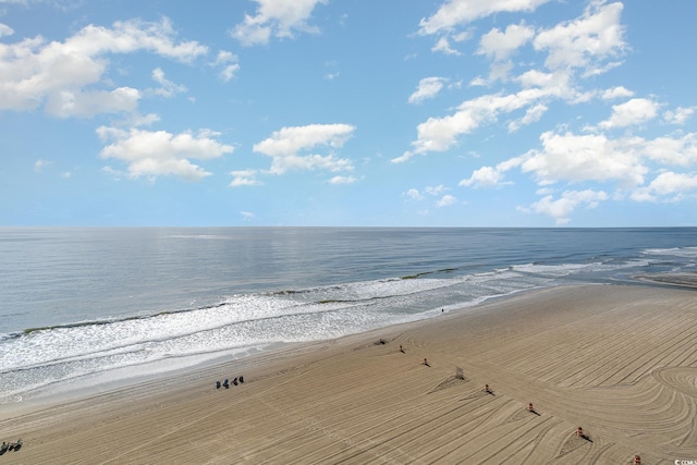 property view of water with a beach view