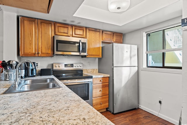 kitchen featuring a raised ceiling, sink, dark wood-type flooring, and appliances with stainless steel finishes