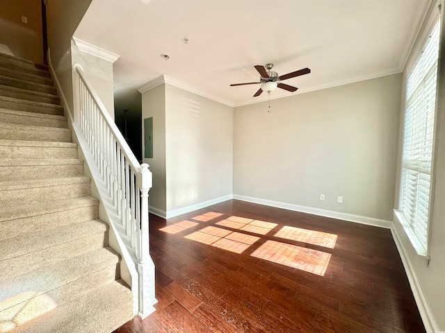 spare room featuring ornamental molding, electric panel, dark hardwood / wood-style floors, and ceiling fan