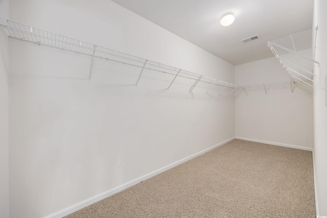 walk in closet with carpet