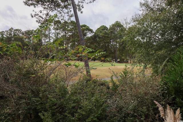 view of local wilderness