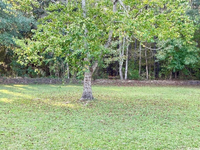 2347 Devine St, Georgetown, SC 29440 - view of yard