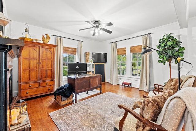 office space with ceiling fan, crown molding, and light hardwood / wood-style flooring