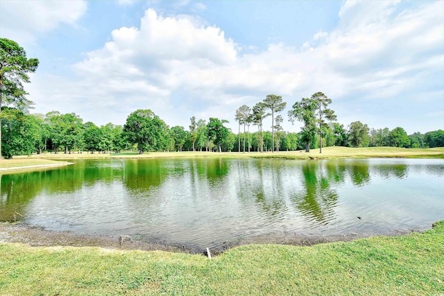 property view of water