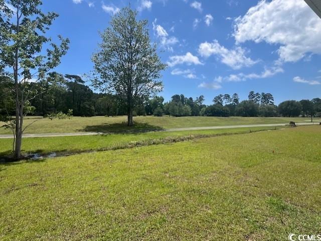9742 Indigo Creek Blvd, Murrells Inlet, SC 29576 - view of green lawn