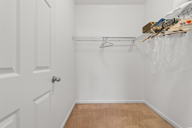 walk in closet featuring light colored carpet