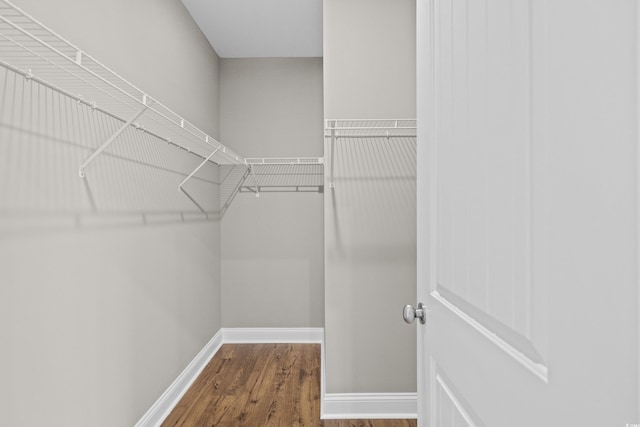 428 Meadow View Ct, Longs, SC 29568 - walk in closet with wood finished floors
