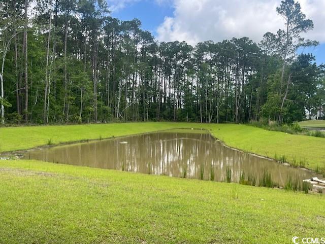 9746 Indigo Creek Blvd, Murrells Inlet, SC 29576 - water view