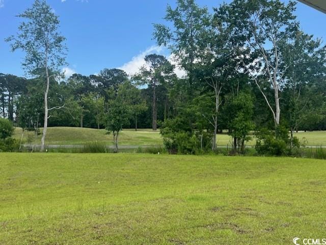 9746 Indigo Creek Blvd, Murrells Inlet, SC 29576 - view of green lawn