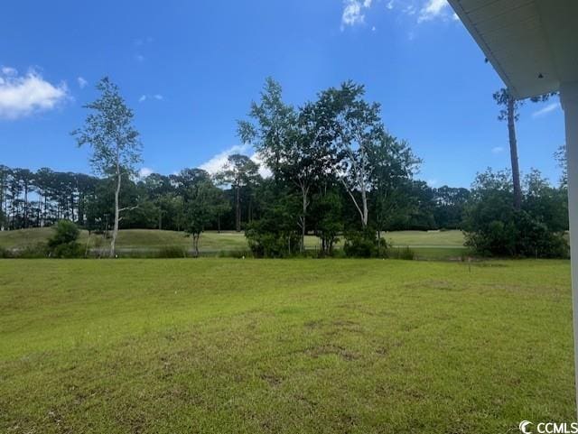 9746 Indigo Creek Blvd, Murrells Inlet, SC 29576 - view of grassy yard