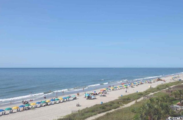 water view with a view of the beach