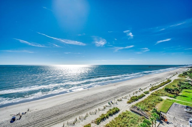 water view with a view of the beach