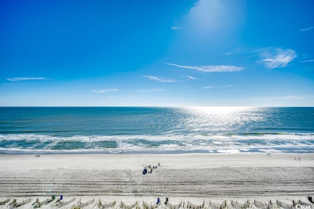 view of water feature with a beach view