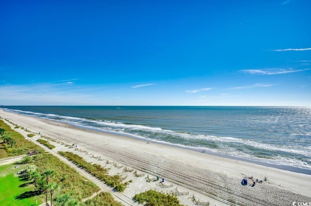 view of water feature with a beach view