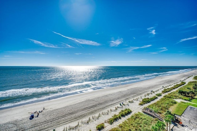 property view of water with a beach view