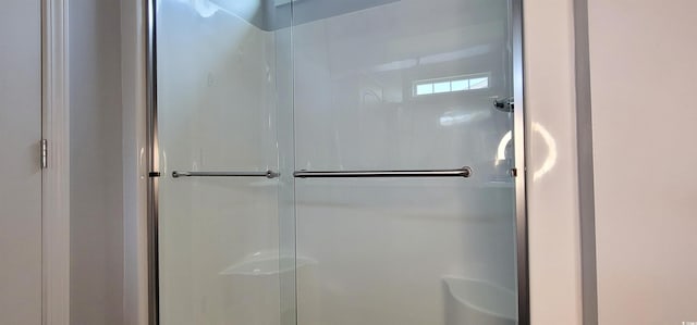 bathroom featuring a shower with shower door