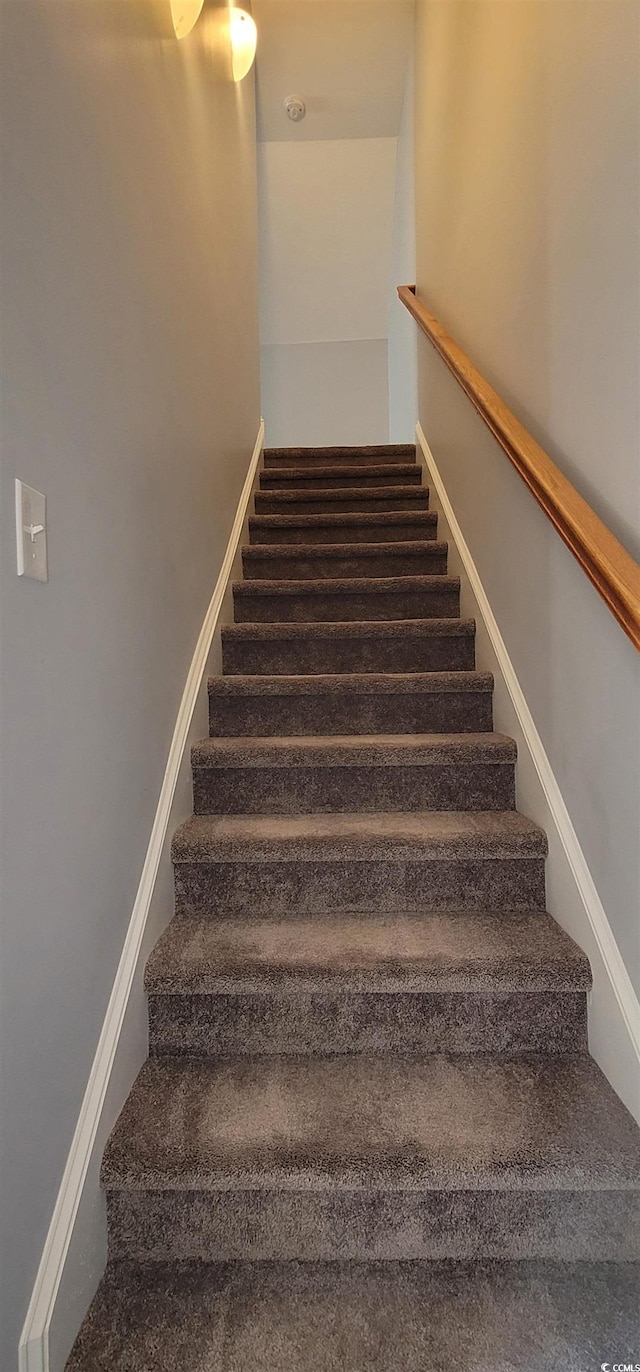 staircase featuring carpet flooring