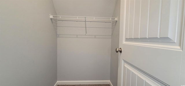 view of walk in closet