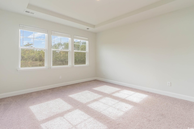 carpeted empty room featuring a tray ceiling