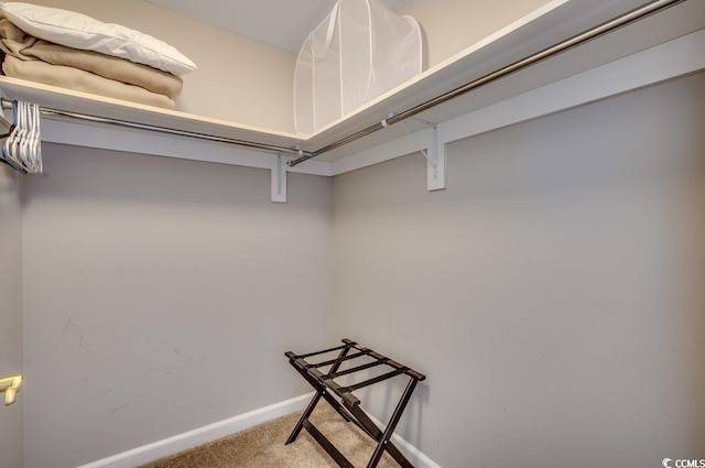 8500 Margate Cir Unit 2704, Myrtle Beach, SC 29572 - walk in closet with carpet flooring