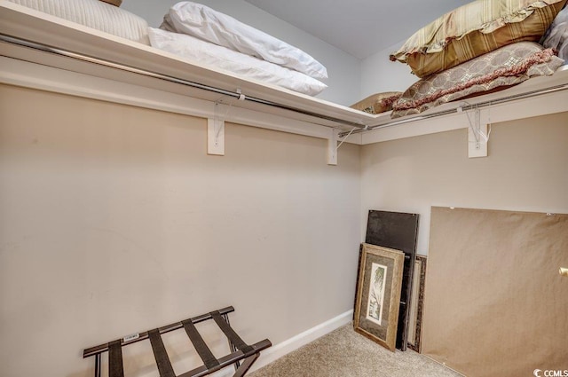 8500 Margate Cir Unit 2704, Myrtle Beach, SC 29572 - walk in closet with carpet flooring