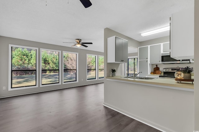 kitchen with ceiling fan, dark hardwood / wood-style flooring, stainless steel appliances, and sink