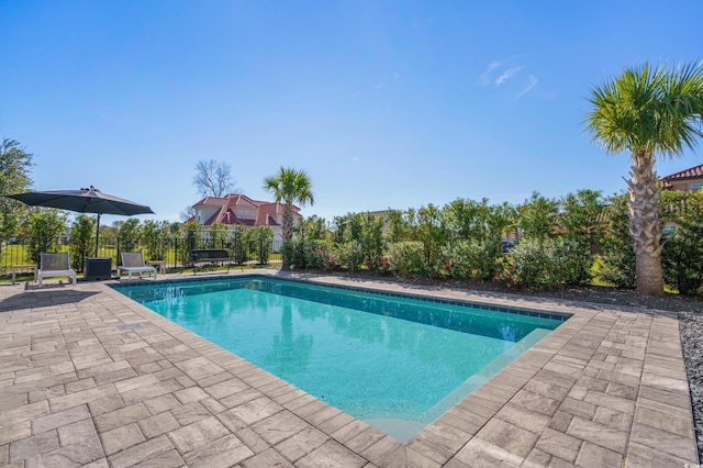 view of swimming pool with a patio