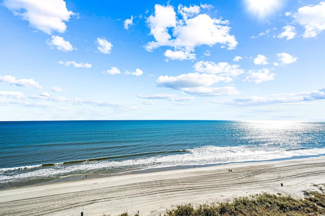 water view featuring a beach view