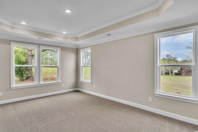 carpeted spare room featuring a wealth of natural light and ornamental molding