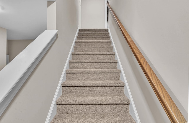 stairway featuring carpet