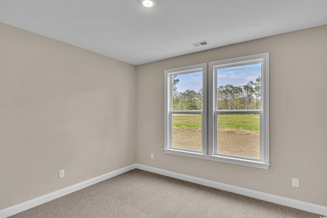 carpeted spare room featuring a wealth of natural light