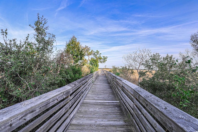 852 Comanders Island Rd, Georgetown, SC 29440 - view of community