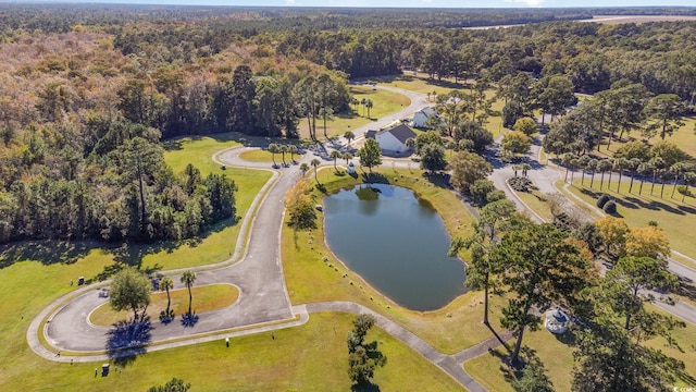 805 Comanders Island Rd, Georgetown, SC 29440 - view of property location with a forest and a large body of water
