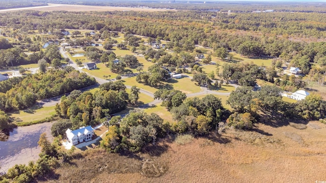 805 Comanders Island Rd, Georgetown, SC 29440 - view of property location with a forest