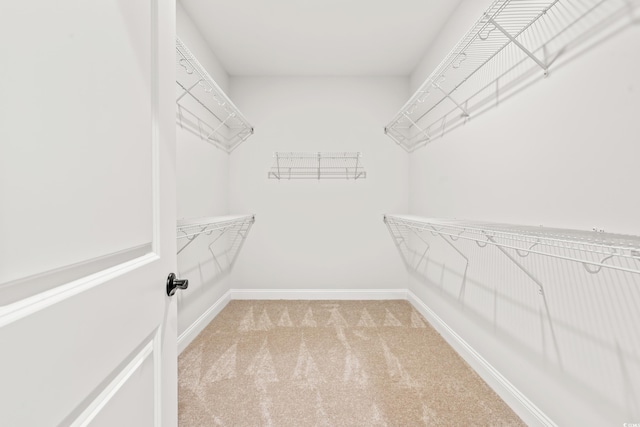 805 Comanders Island Rd, Georgetown, SC 29440 - spacious closet with carpet flooring