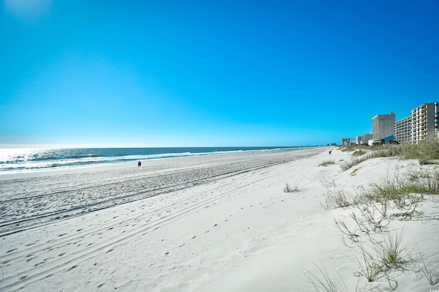 property view of water with a beach view